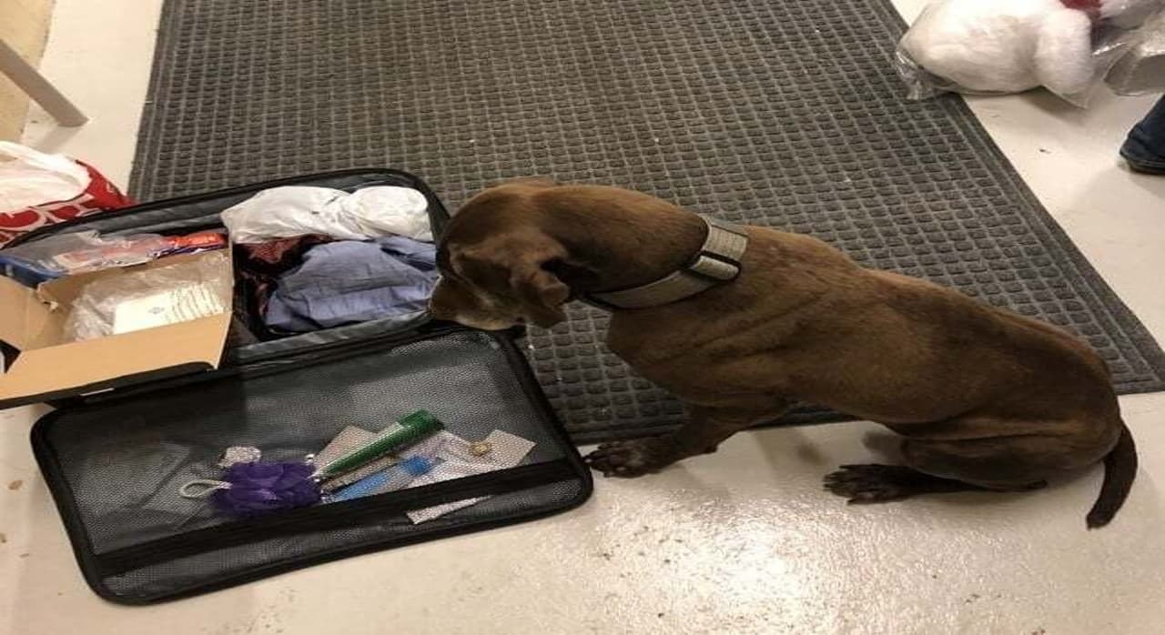 Ayudó al FBI - Oficina Federal de Investigaciones, Departamento de Seguridad Nacional, Administración de Control de Drogas - DEA, Policía Estatal de Illinois y muchas otras agencias