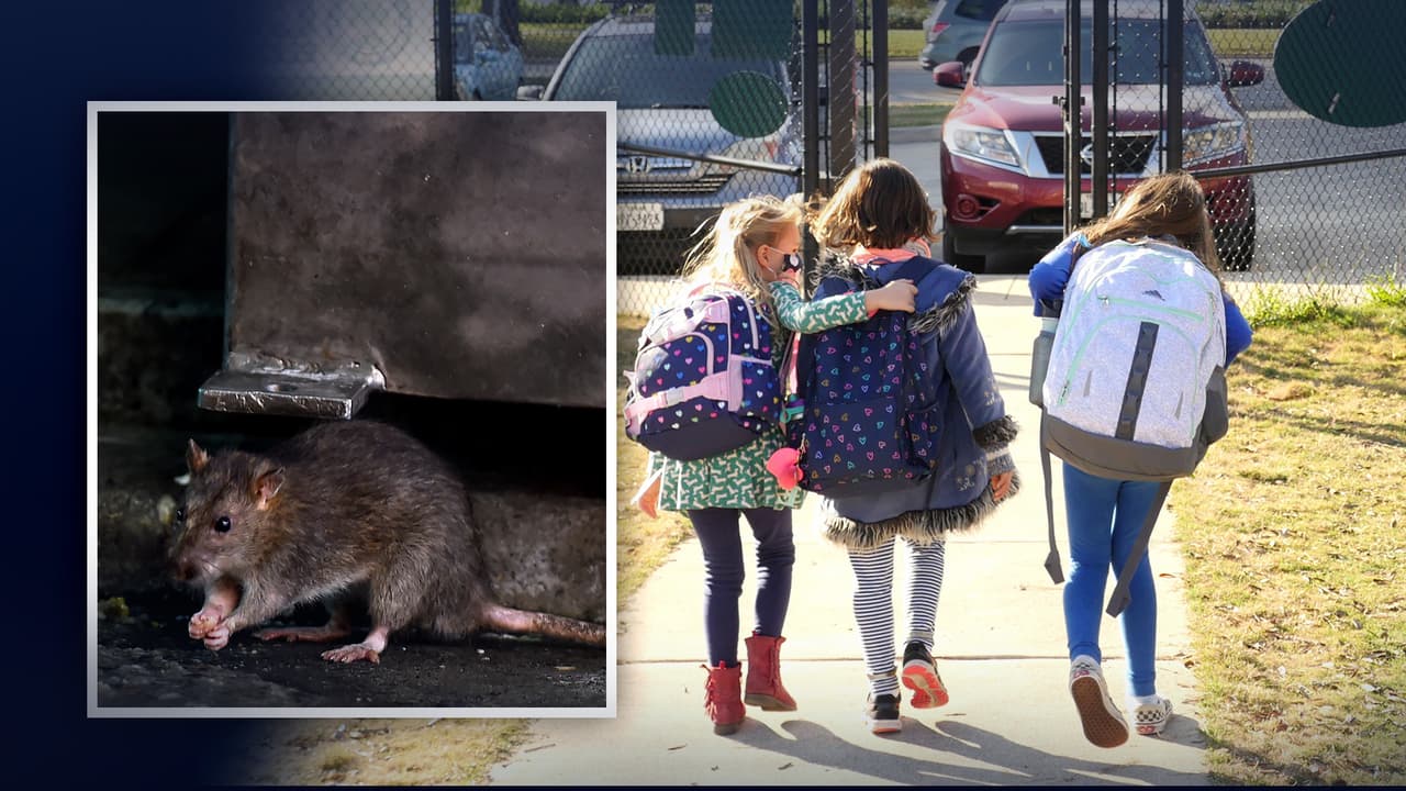 "Les dicen que son las mascotas": padres denuncian presencia de ratas y discriminación a hispanos en escuela texana
