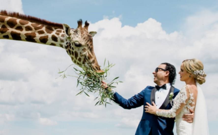 Adal prefirió que Karla se hiciera cargo de toda la boda, lo que resultó en una grata sorpresa para él.