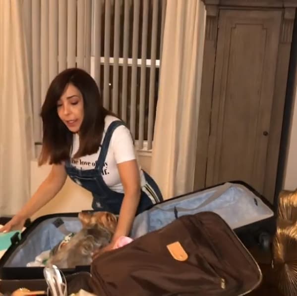 La perrita raza Yorkshire Terrier tiene su propia cuenta en Instagram donde casi llega a los 10,000 seguidores.