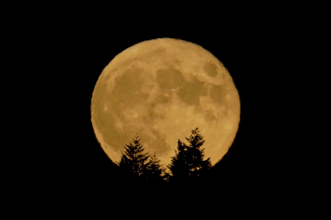 La 'Luna de Fresa' fue visible desde la tarde de este jueves en Estados Unidos, aunque su máximo esplendor se alcanzó al ocurecer. El fenómeno continuará visible hasta el próximo sábado. Esta imagen corresponde a la isla Whidbey, en el estado de Washington.