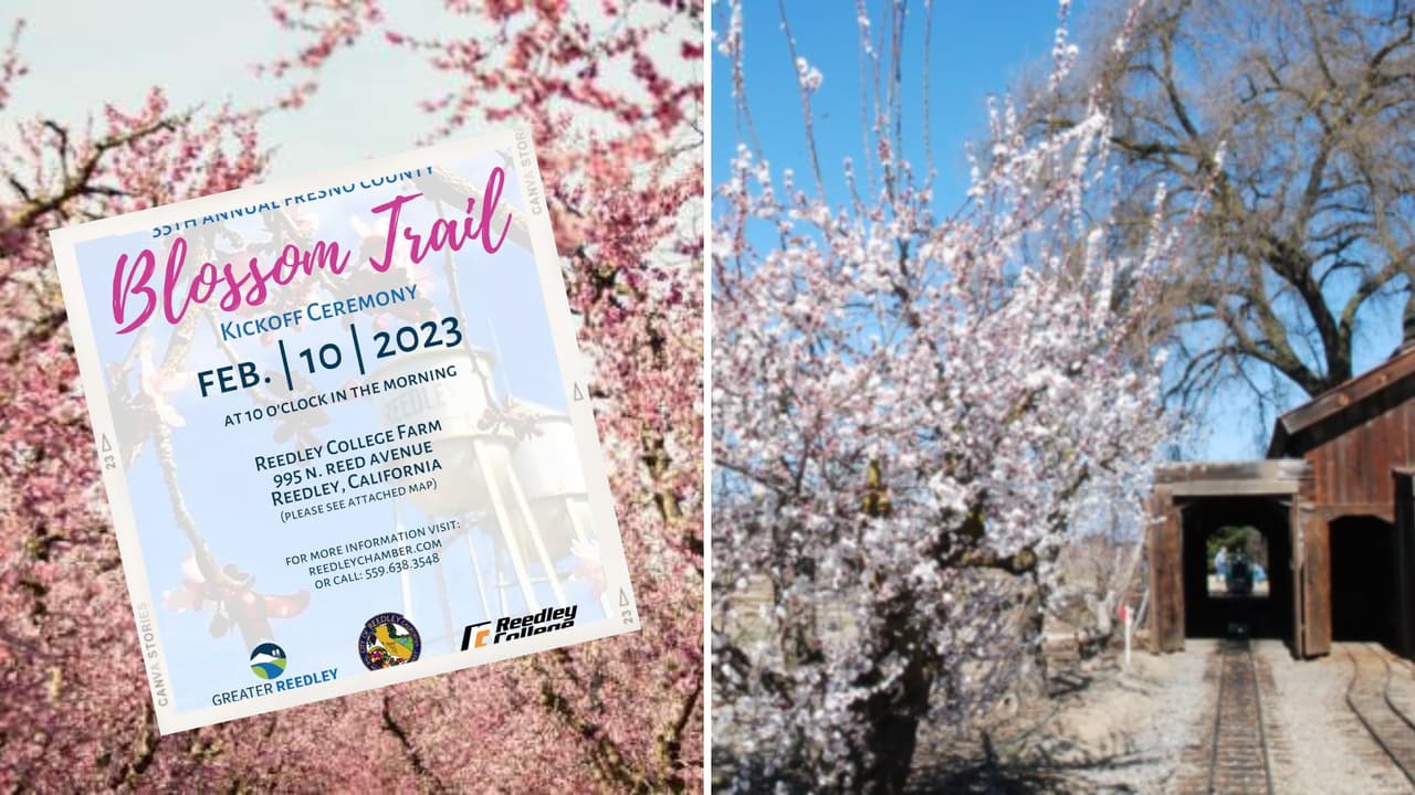 Disfruta actividades culturales, buena comida y vino en el Fresno Blossom Trail