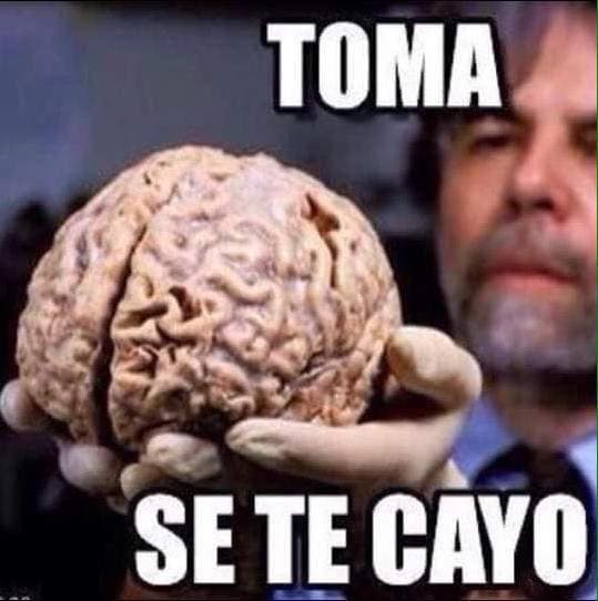 Las detenciones suscitaron el regreso del gobernador Ricardo Rosselló de sus vacaciones en Francia, quien reconoció "la importancia y la trascendencia" de los hechos.