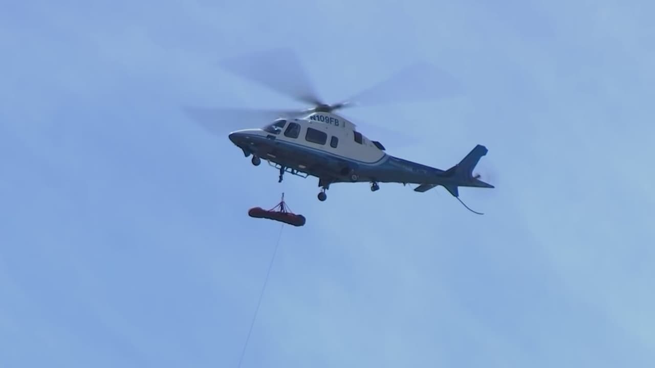 Senderista en Arizona queda grave tras ataque de más de 100 abejas