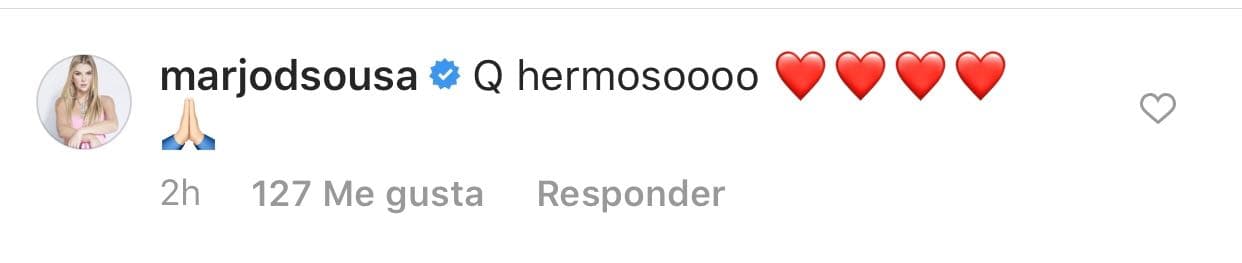 La publicación fue comentada, entre otros, por la actriz venezolana
<b> <a href="https://www.univision.com/temas/marjorie-de-sousa">Marjorie de Sousa</a>, </b>quien le expresó su amor a toda la familia.