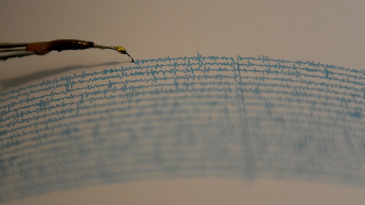 El Servicio Geológico de Estados Unidos (USGS) indicó que el temblor se registró en la madrugada de este lunes en Lennox, cerca de Inglewood, y fue previo a uno de menor magnitud en la misma zona. El movimiento telúrico se sintió en varias áreas del sur de California. Ten en cuenta que pueden suscitarse más réplicas.