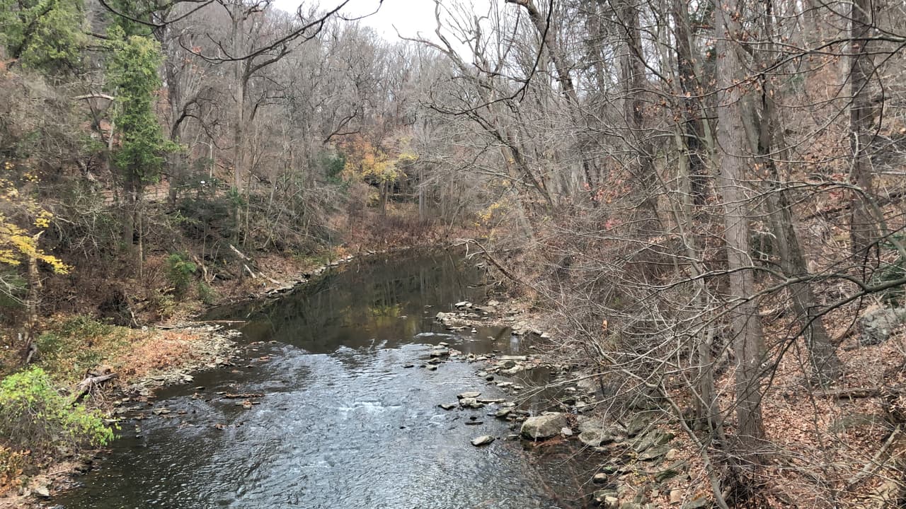 Las personas que van a amar este sendero son las que buscan un lugar para recuperarse de una intensa semana. Es uno de los mejores lugares para realizar ejercicios al aire libre sin temor de ser atropellado por un automóvil (ya que no están permitidos). Además, las vistas (como esta), te harán querer regresar.