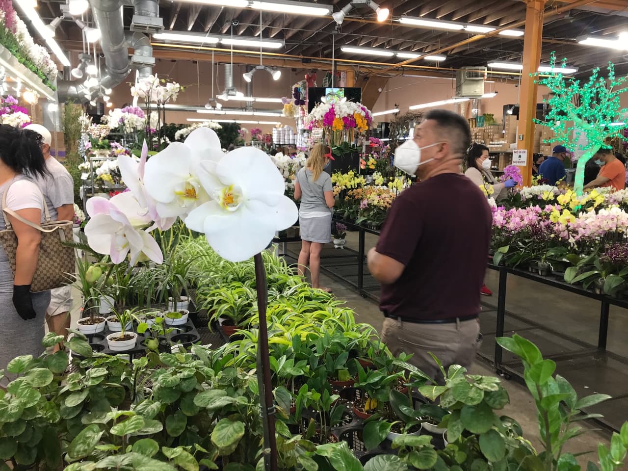 Y reabrió desde el viernes 8 de mayo, justo a tiempo para la celebración del Día de las Madres.