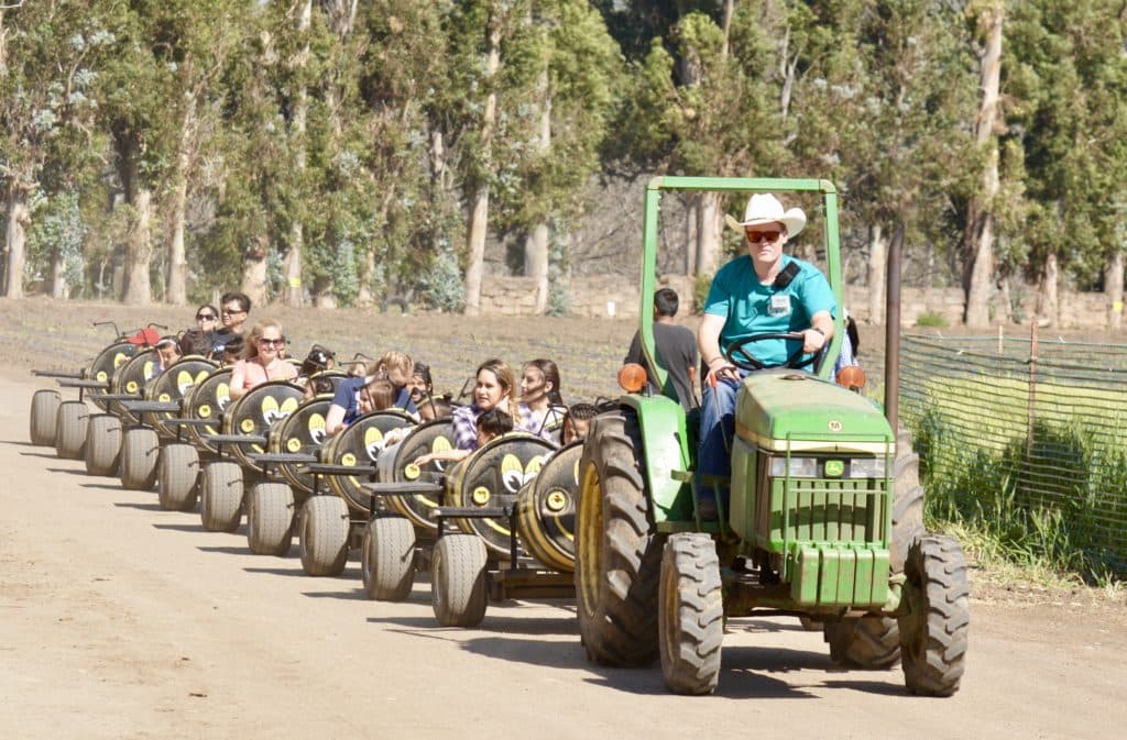 <b>“Easter Springtime Festival” en Underwood Family Farms</b>
<br>Si quieres escaparte de la vida urbana, visita Underwood Family Farms donde el festival de primavera se lleva a cabo durante tres fines de semana consecutivos. 
<br>
<br>Moorpark
<br>30 de marzo – 22 de abril
<br>$8 - $12
<br>
<a href="https://underwoodfamilyfarms.com/easter-on-the-farm/" target="_blank">https://underwoodfamilyfarms.com/easter-on-the-farm/</a>