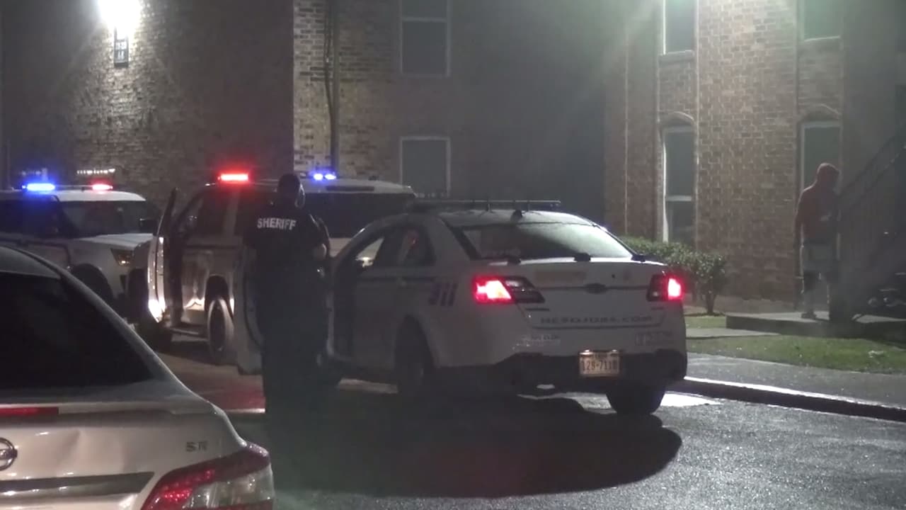 Ubicados en la calle Daleburg Drive, cerca de Lee Road al noreste de Houston.