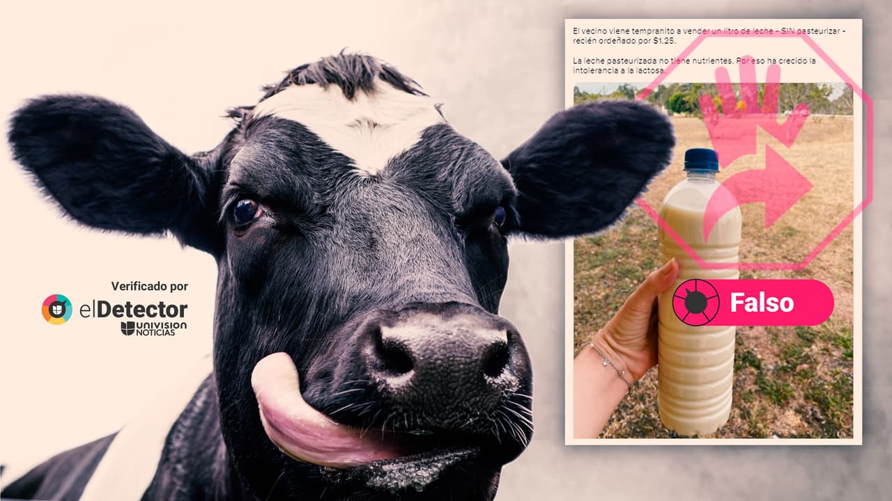 Es falso que la leche pasteurizada no tiene nutrientes, como dice un tuit viral