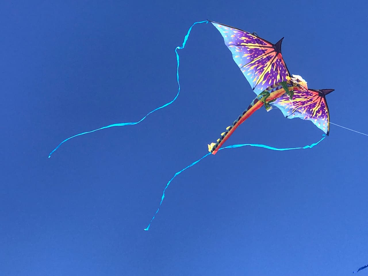 La convocatoria superó las expectativas y cientos de personas de todas la edades se dieron cita en el muelle de la popular playa del sur de California.
<br>