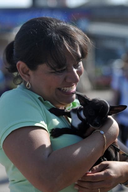 Entre los competidores estaba Mía, la perra de Miss Guatemala, Jessica Schell, quien asistió a la carrera.