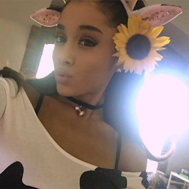 Se alejó de la sangre y los colmillos para ponerse manchitas y orejas. Sin lugar a dudas, fue una vaquita muy sensual.