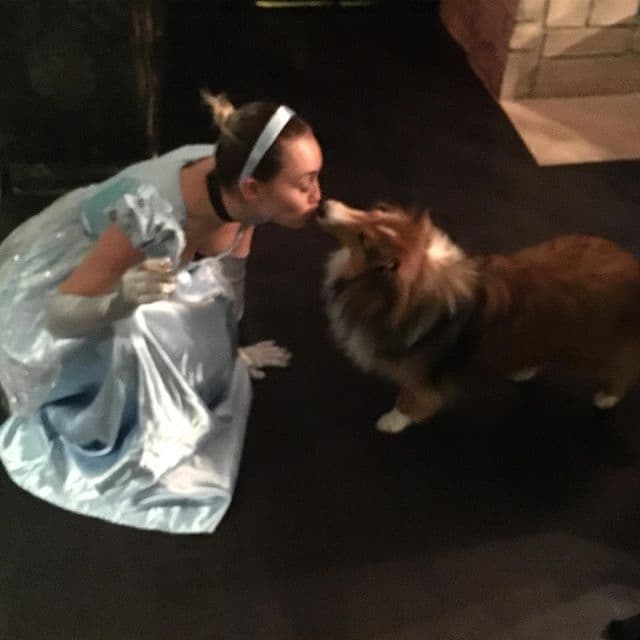 ¡Ternurita! Cuidado 'Cinderella', ha llegado tu competencia.