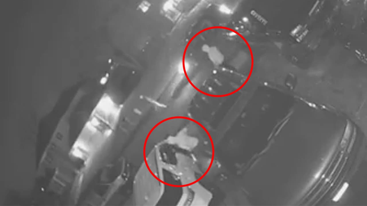 En video: captan a ladrones en busca de autos abiertos en Antioch, Illinois