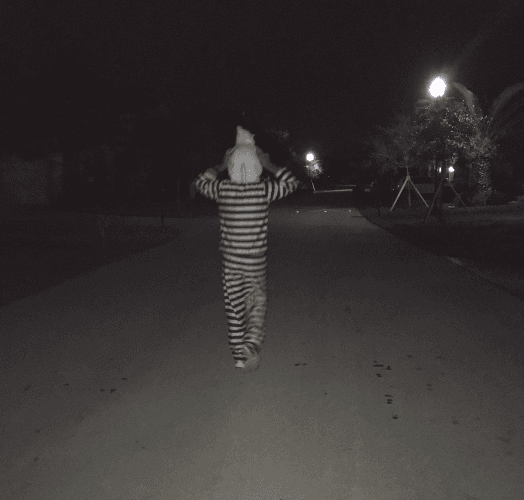 Esta imagen más que susto nos hace morir de ternura.