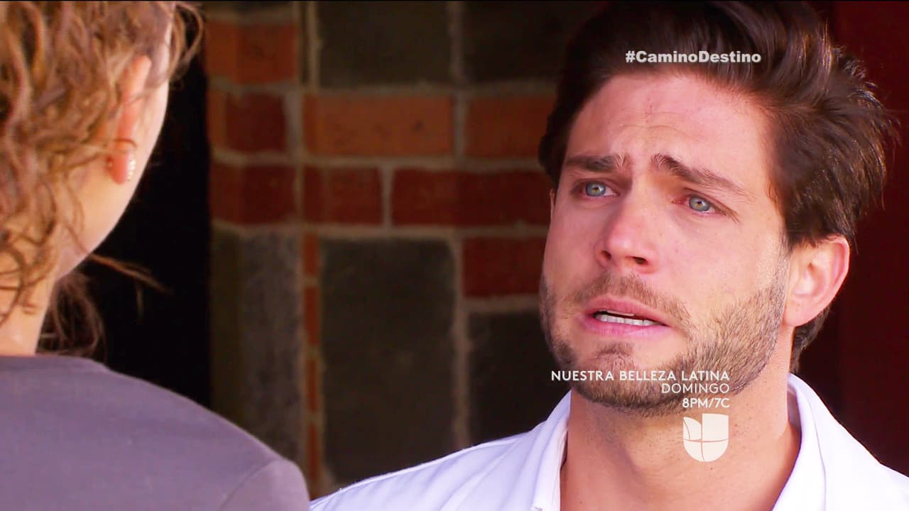 En Un Camino Hacia El Destino, Fernanda está muy decepcionada por las mentiras de Carlos y decidió alejarlo para siempre de su vida.