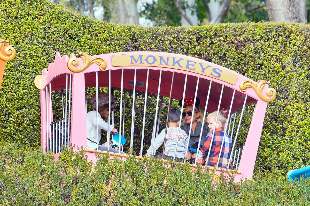 ¡Por fin! En la jaula como changuitos.