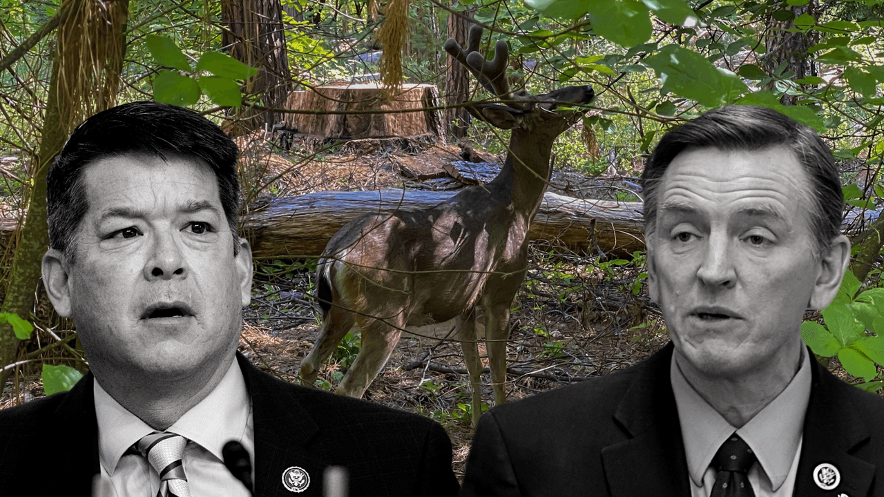 Acusan a congresista demócrata de usar su influencia para obtener pases para un parque nacional