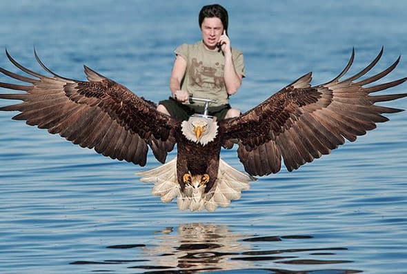 Zach Braff bromeó con esta imagen sobre un águila.