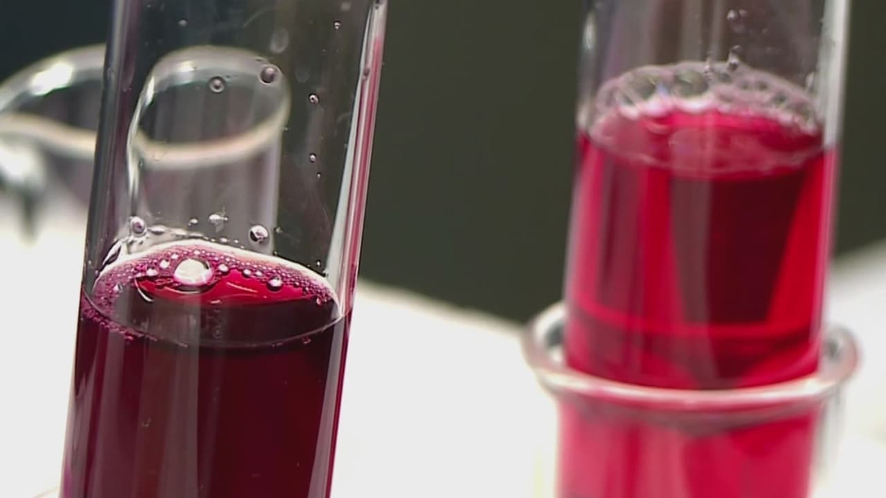 Patentan método para extraer tinte rojo de los arándanos sin químicos nocivos