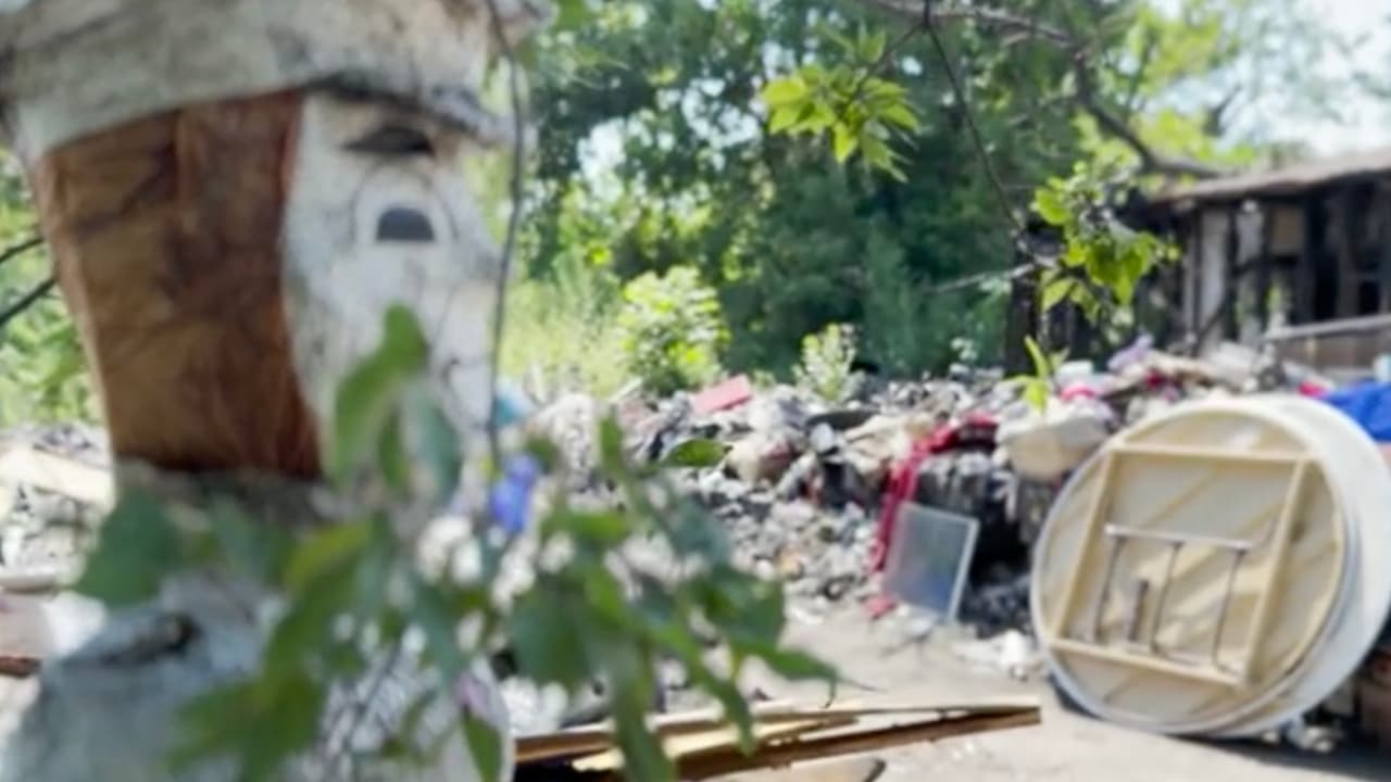 El condado Harris está utilizando $1 millón de los fondos del Plan de Rescate Estadounidense para combatir el problema.