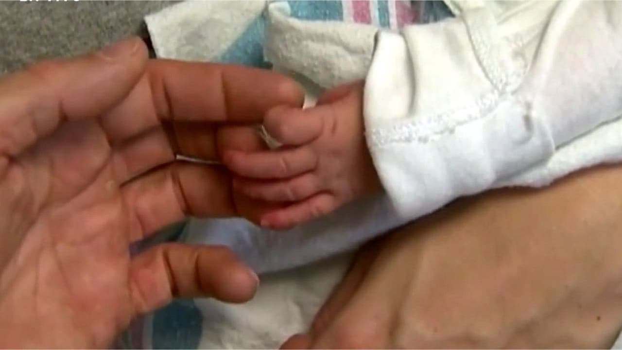 ¿Puede apelarse una orden ejecutiva de Trump? Abogada analiza ciudadanía por nacimiento y cambios migratorios