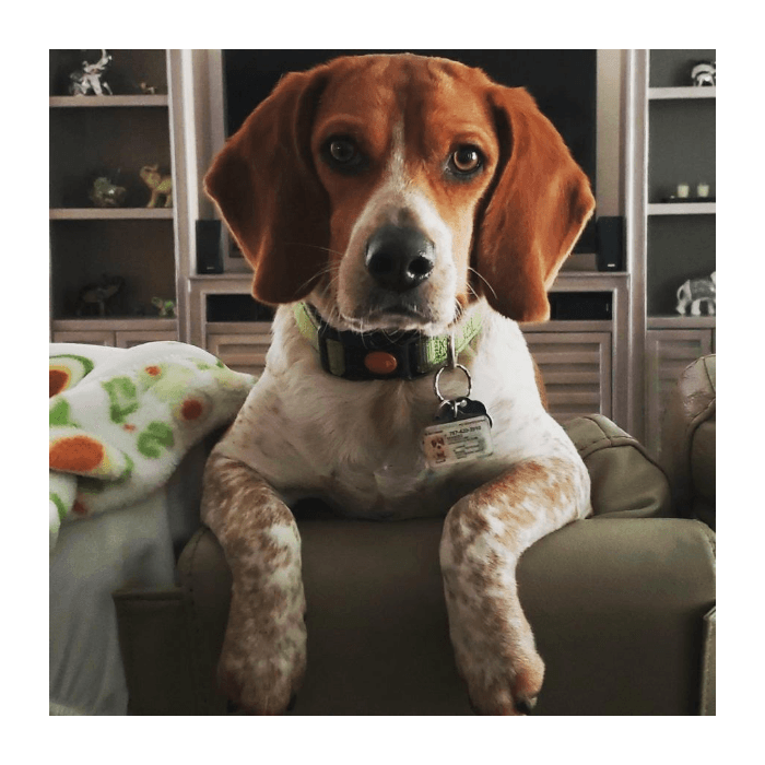 "Mambo nos observaba mientras estábamos comiendo en la mesa. Muy seriamente velando nuestros movimientos", compartió Oneida.