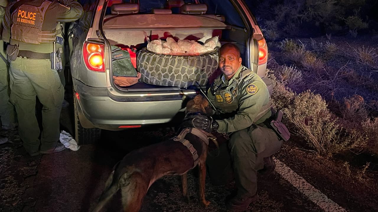 En la incautación trabajaron con un perro entrenado para detectar la droga.