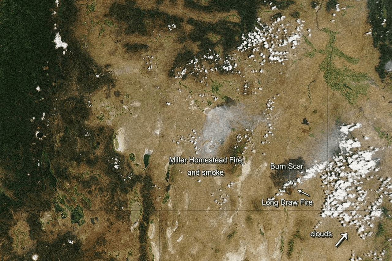 <b>Puesto 10: Long Draw Fire, Oregon (2012). </b>Este fuego consumió 557,628 acres y devastó terrenos utilizados en la ganadería y reservas de vida silvestre.
<br>