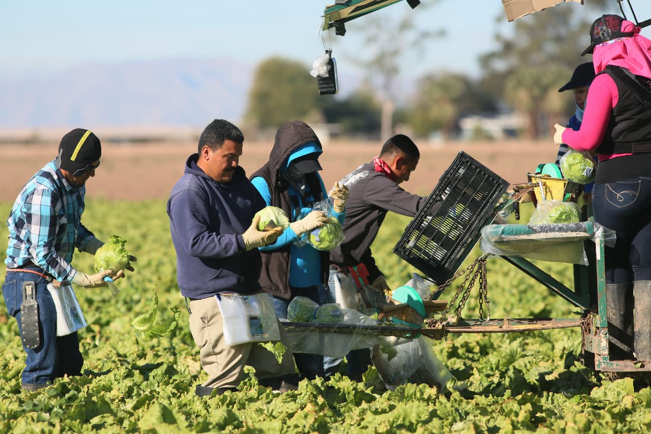 Reúnen más de $50,000 para repartir entre trabajadores agrícolas afectados por el coronavirus