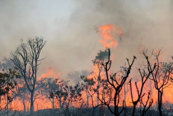 La semana pasada se registraron otros tres incendios alrededor de la reserva.