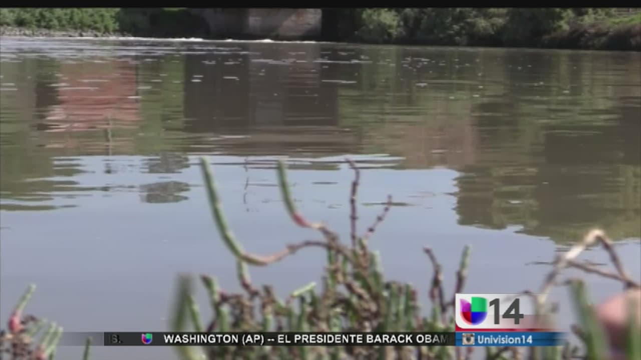 Torso desmembrado hallado en Fremont podría pertenecer a una mujer de Brisbane