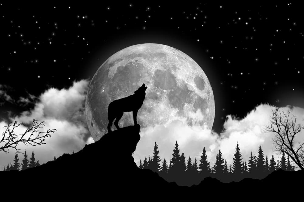 ¡Llegó el último plenilunio del año 2019! El 12 de diciembre nuevamente la Luna se pondrá en oposición con el Sol en la fase de la luna llena, la cual ocurrirá en el signo de Géminis, tocando ya a Cáncer en tránsito, aunque el mayor impacto será en el signo geminiano.
<br>