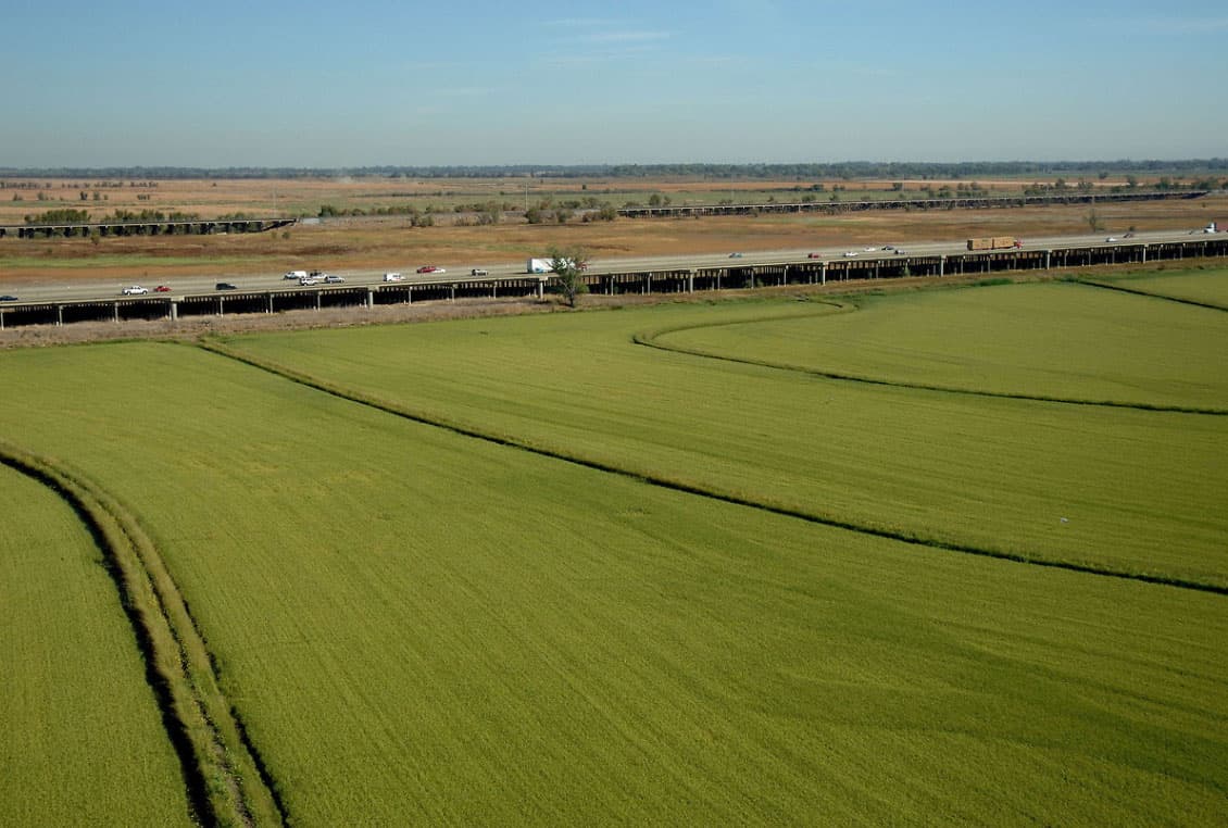 Imagen del Yolo Bypass (tomada en 2009) muestra como se ve el terreno cuando no está cubierto por las aguas del río Sacramento.