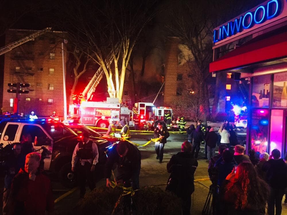 Las autoridades han cerrado el área y ha puesto distancia a todos los curiosos.