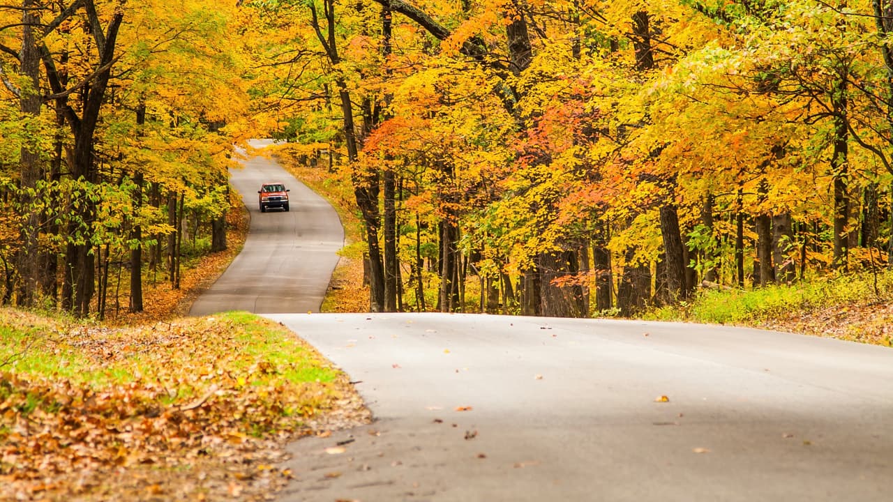 <h3 class="cms-H3-H3"><b>17. Indiana</b></h3>
<br>
<br>El estado de Indiana registró 
<b>809</b> 
<b>muertes vehiculares</b> durante 2019, 51 muertes menos que en 2018. De ese total, 210 muertes (26%) fueron causadas por el consumo de alcohol.