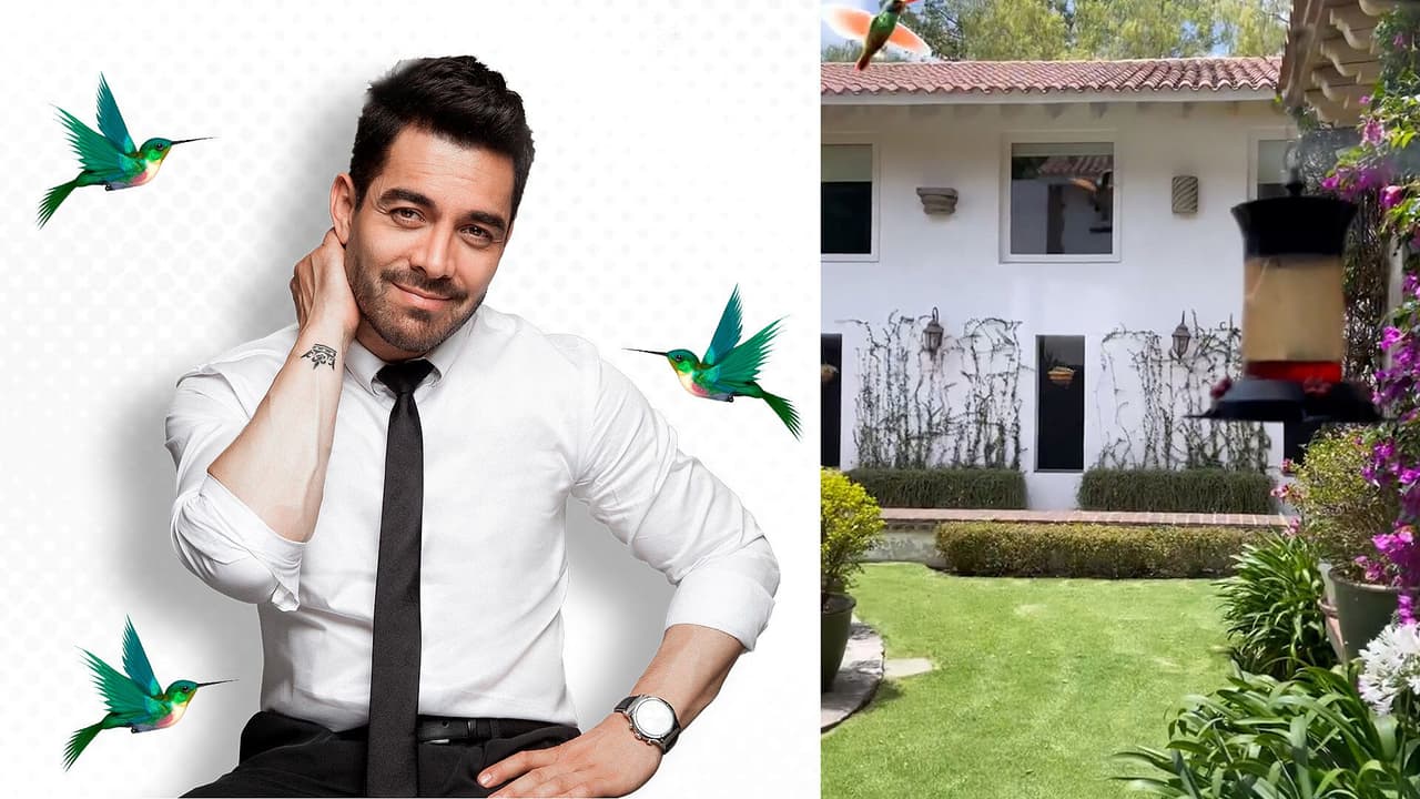 Omar Chaparro se emocionó así cuando llegó un colibrí hasta su ventana