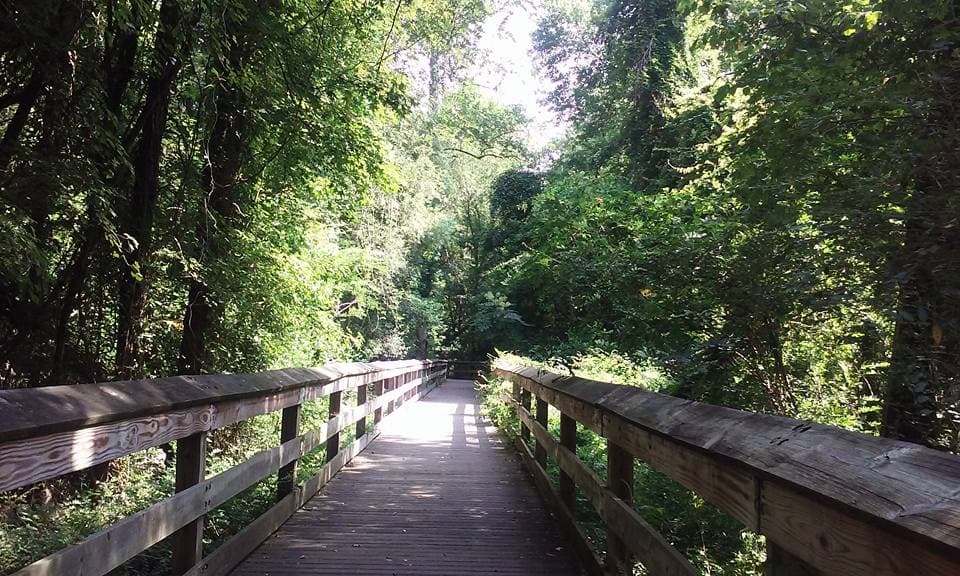 <b>EXPLORA THE ARTS COUNCIL OF FAYETTEVILLE/CUMBERLAND COUNTY</b>: El Arts Council presenta exhibiciones rotativas, que los visitantes pueden ver completamente gratis. El edificio fue construido en 1910 y se usó como oficina de correos.