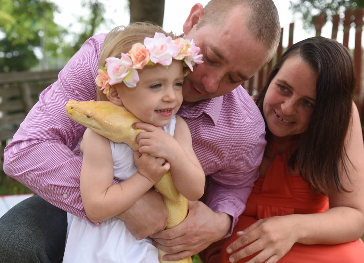 Rob Cowan afirma que sus 19 serpientes son como sus hijos.