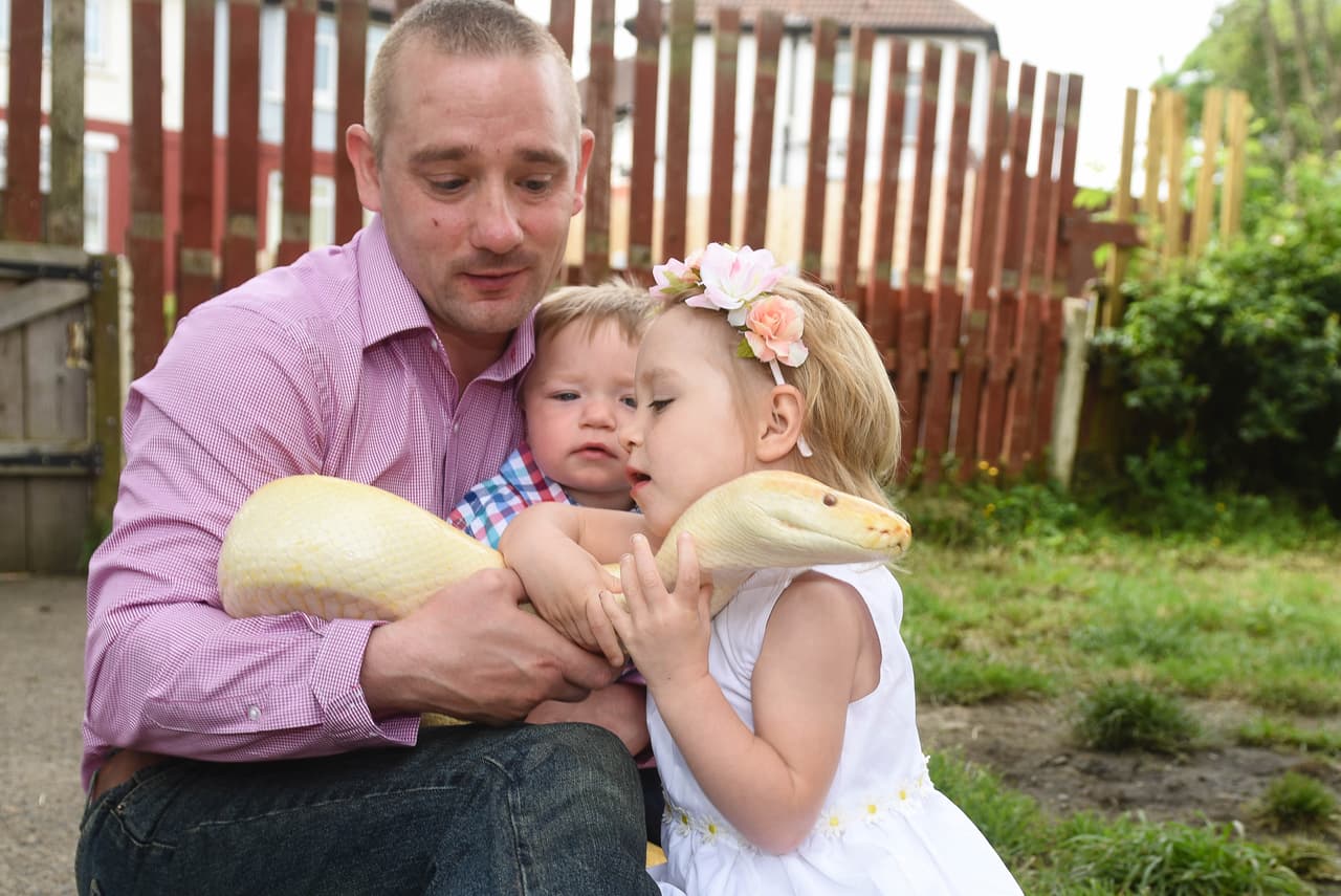 Antes nueve pitones reticuladas, tres pitones de Birmania, cinco pitones reales y siete anacondas paseaban por su casa.