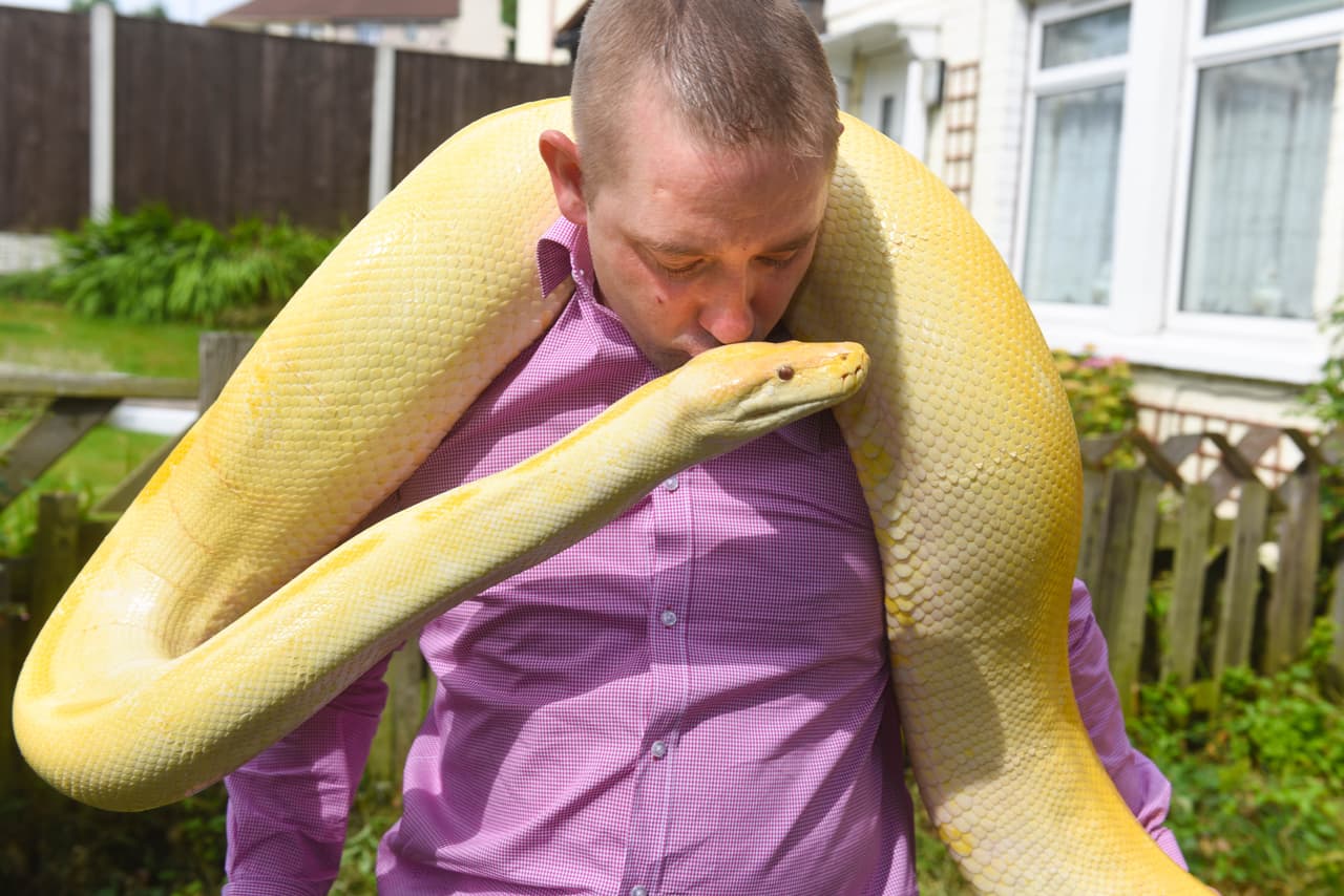 Por eso sus pequeños hijos, Alisha-Mae y Cameron, de 2 años y 10 meses, respectivamente, aman a estos incomprendidos animales.