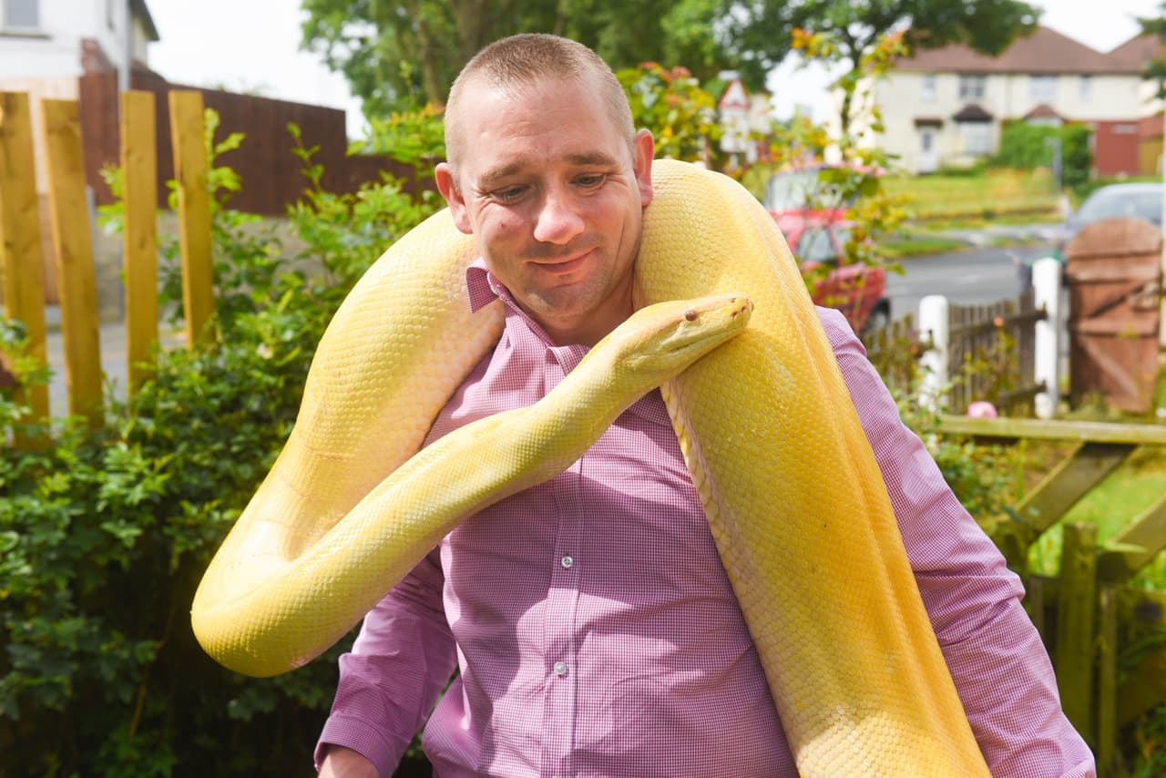 ¿Te imaginas a una linda e indefensa pequeña besando a una víbora que pesa 13 piedras?