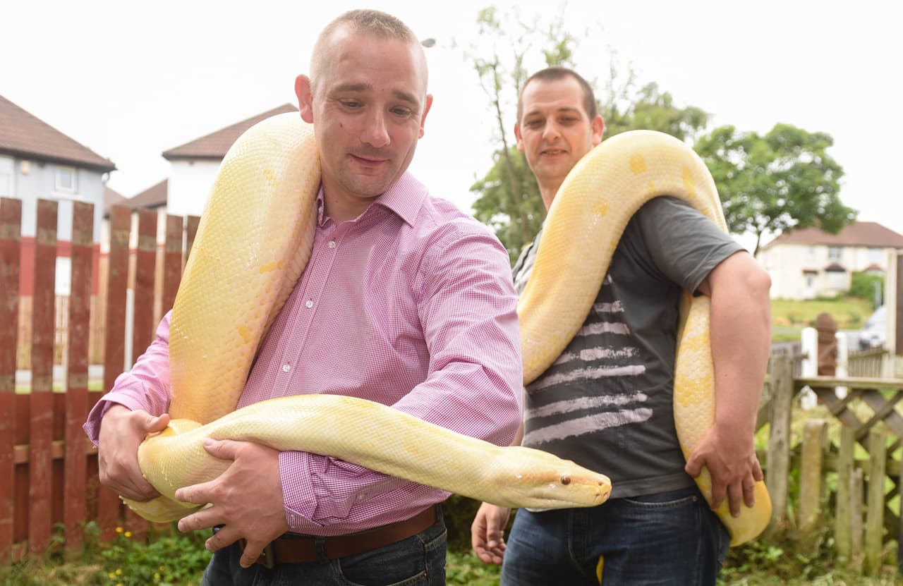 La acaricia y le dice ‘¡buenas noches!’