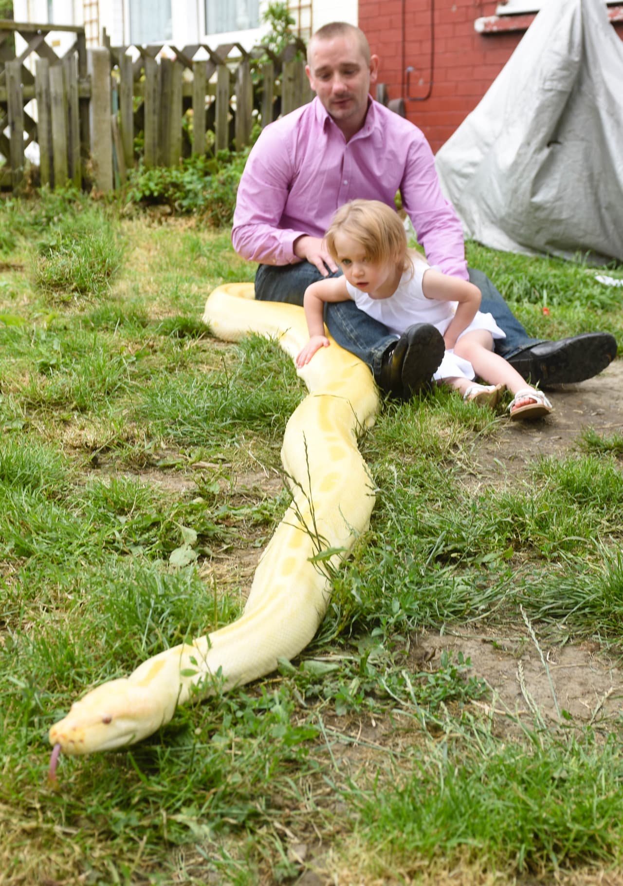 ¡Ella incluso le da muchos besos a la pitón!