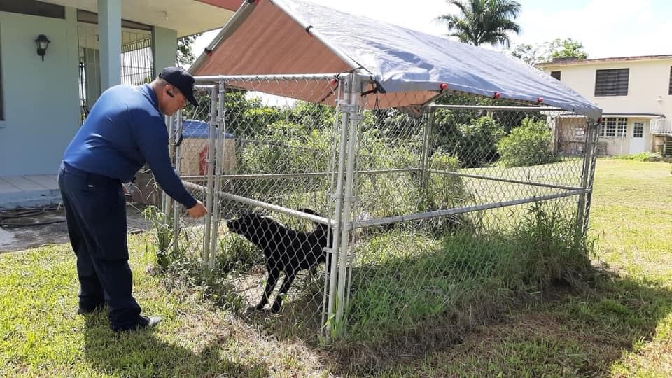Sin embargo, las autoridades explicaron que no hubo querella ya que los perros se encontraban bien.