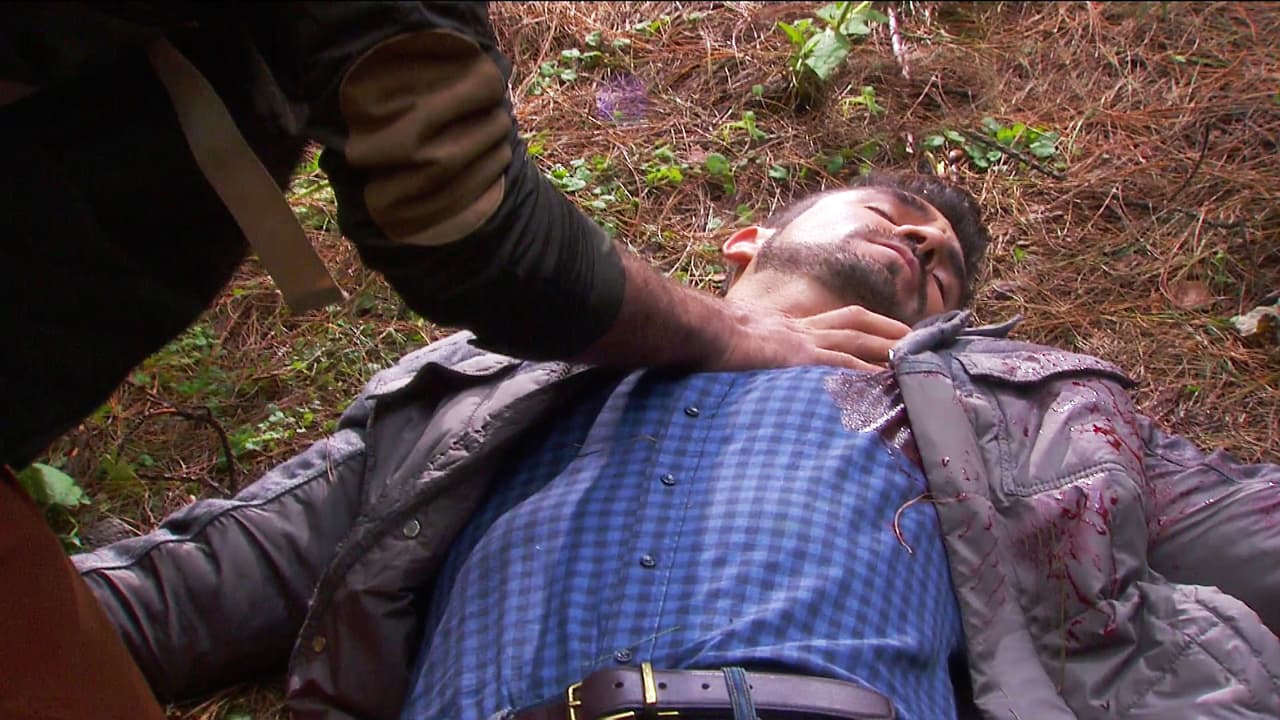 No, ¡reacciona Pedro!