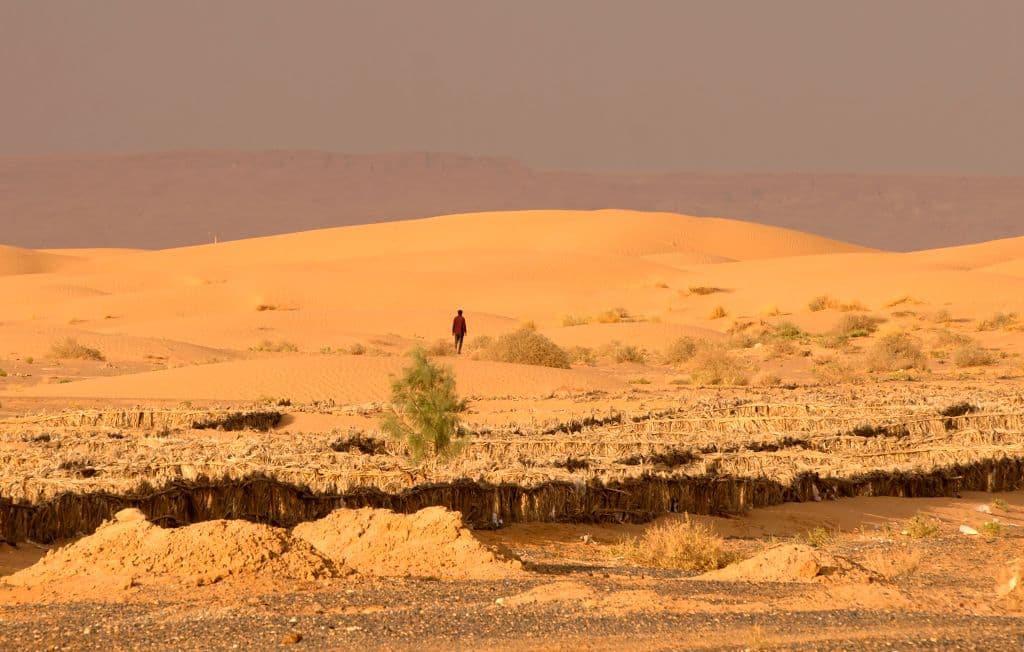 Mueren de sed más de 40 migrantes en medio del desierto del Sahara