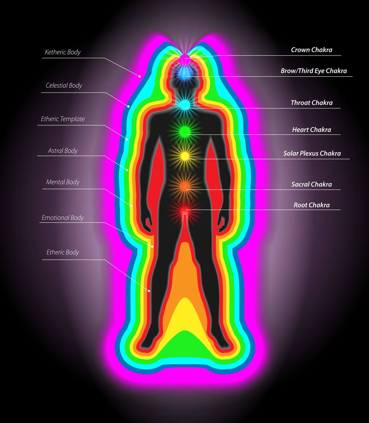 Esa energía está escondida bajo la columna vertebral y cuando se excita, va subiendo por los diferentes chakras hasta que llega a la cabeza. Y hay algo muy curioso con ella.